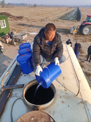 Temporary Road Soil Stabilizer Powder Soil Solidification Agent Parking Lot Solidification