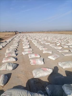 Temporary Road Soil Stabilizer Powder Soil Solidification Agent Parking Lot Solidification